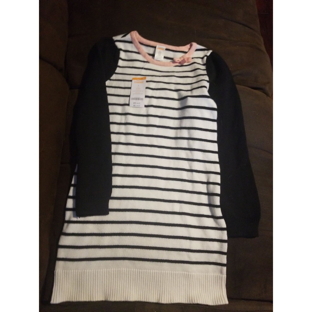 Gymboree blushing swan 8 dress nwt